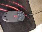 Mouse for sell