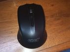 Mouse for sell