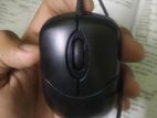 Mouse for sell