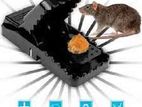 Mouse Killer Trap (5×3×3 inches)