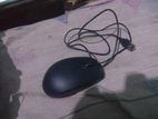 Mouse for sell