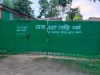 মুরগির সেট অর্ধ কমপ্লিট পুকুর