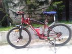 Muscular Cycle