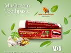 Mushroom Enamel Loss Toothpaste - 150g Modern Herbal