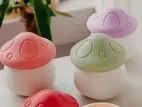 Mushroom Pot Candle , স্টবেরিস সুগন্ধ মোম অর্ডার করতে