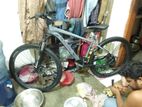 Mustang 1800 cycle