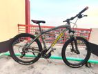 Mustang bicycle