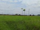 N Block|| 3 Katha|| Land Sale|| Bashundhara||