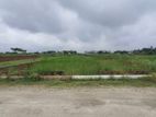 N Block 3 katha plot sale near 300 feet Expressway