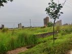 N block // 5 katha North face plot sell