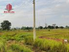 N Block South Facing 3 Katha Plot for Sale in Bashundhara