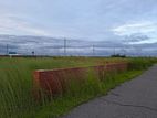 N-Ext block‼️ South face‼️ 5 katha plot sell