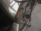 Name: Original Phoneix Cycle