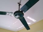 Nation 56 Inch Ceiling Fan