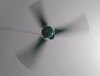 National Fan 56"