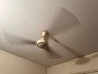 National Ceiling Fan for sell