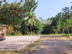 Navana residential land sales