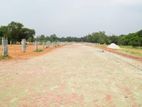 Navana's Land at Purbachal Beside Rajuk New Town.