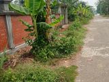 Near diplomatic office 5 katha plot for sale.Sector :28, Purbachal.