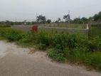 Near Forest 5 katha plot sale in sector :24.RAJUK Purbachal.