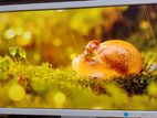 NEC AS223WM 22" Wide LCD Display Monitor original Japan Product