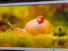 NEC AS223WM 22" Wide LCD Display Monitor original Japan Product