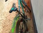 Duranta Bicycle for sale