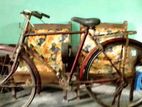 Neelam Bicycle For Sale