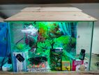 Aquarium For Sell