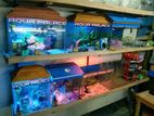 aquarium for sell