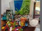New aquarium