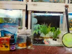 New Aquarium sell