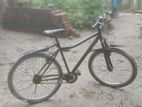 Bicycle for sell