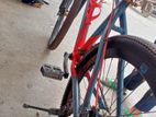 Phoenix cycle