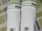 New Cricket Helmet, Pad and Gloves