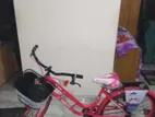New Cycle Non Used