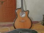 new gitar