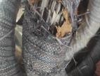New Safety Tar For Building
