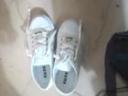 new sneakers