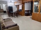 Newly Full Furnished Apartment Rent in Gulshan