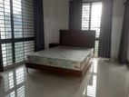 Newly Furnished 3 Bed Room Flat Rent in Gulshan-1