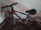 Cycle for sell