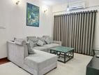 Nice Full Furnished Apartment Rent in Gulshan
