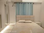 Nice Fully Furnished Apartment For Rent