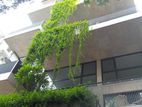 Nice Gym/pool Excellent unfurnished Apt Rent in Banani