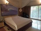 Nicely Fully Furnished apt rent In Gulshan North
