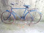 Bicycle for sell