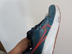 Nike Pegasus 39 (Size 43)