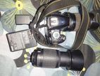 Nikon D3100 Dslr