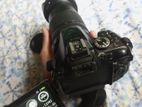 Nikon D5200 + 18-140 Zoom